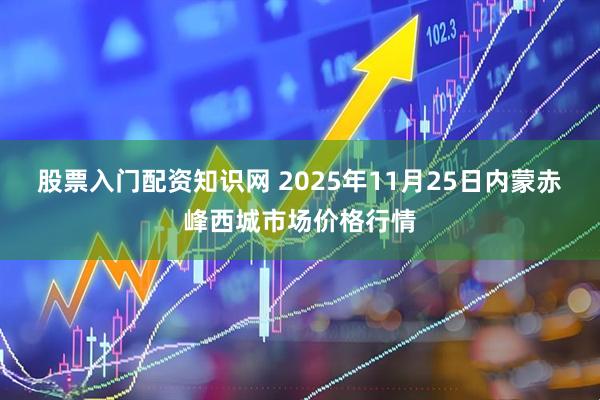股票入门配资知识网 2025年11月25日内蒙赤峰西城市场价格行情